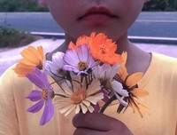 《成长的代价》的句子