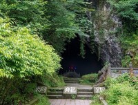 森林里发现