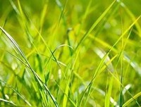 关于等不到打她用亮等时光的优美句子