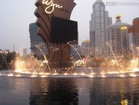 15条关于走马观花的经典语句