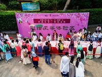 关于才子佳人的名句摘抄
