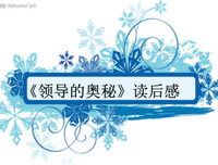 领导者性格读后感100字