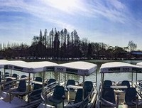 关于阳春白雪的格言