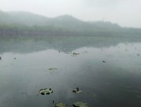 诗酒趁年华