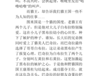 《温顺的女性》读后感锦集