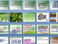 维也纳1813读后感100字