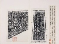 最全的《自此阮种并当为君阔》经典语录