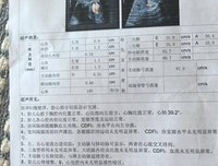 最新的《你看得地个人到没不如草》经典句子