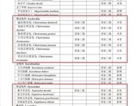 X探险特工队：破解巨型之谜 犀金龟×锹甲读后感摘抄