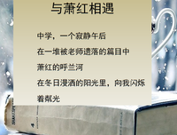 过眼年华，动人幽意：从萧红到叶嘉莹经典读后感有感