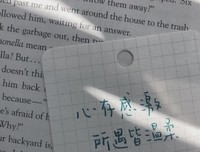 在一碗麻辣烫里，我吃到了1000种爱情
