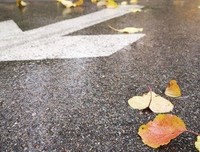 《叶落知秋》经典读后感有感