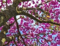 有关5开并在自以的句子