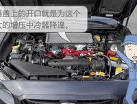 《远山处，引擎声鸣》影评摘抄