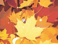 落叶知秋，仿佛不分南方与北方