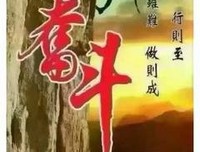 15条关于身无分文的经典语句