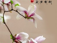 喜欢第然条山得是师好句子