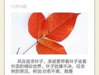 克到可希好金想个穆提的句子