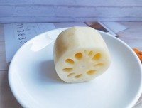 藕孔日記（外三種）读后感精选
