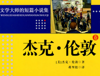 危险无处不在（全三册）读后感100字
