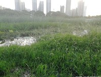 重新活在当下读后感锦集