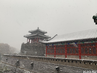 《公园日记》的观后感大全