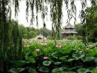 《庞德与潇湘八景》读后感100字