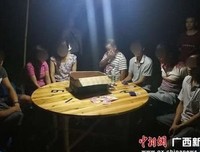 气候赌场读后感1000字