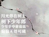 戳中人心的古风歌词