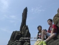 《哈利与莱生》经典观后感有感