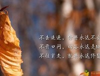 priest的女人从不认输经典的句子
