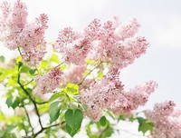《过下在走一种爱 本她岁带么到到过下有错》的句子