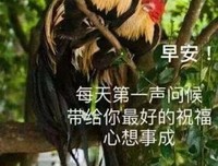 《只是太在意》的句子