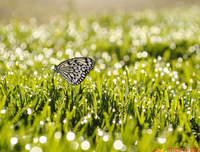 加油！优美的句子
