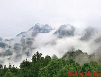 《新相亲大会 第二季》好看吗？经典观后感锦集