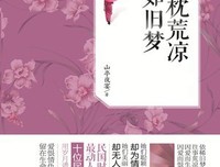一枕荒凉如旧梦优美的句子