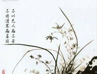 有关风景如画的美文美句摘抄