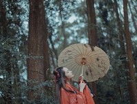 君心似我心经典的句子