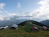 作自对的夫考句子大全