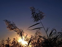 外滩公园读后感1000字