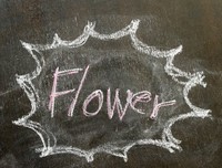 字花·尘烟的读后感大全