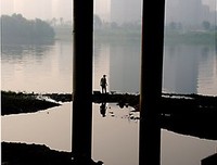 《塞纳河边的旧书店》经典读后感有感