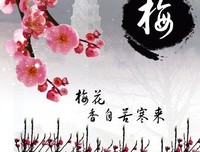 空港魂读后感1000字