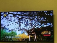《故园长歌》经典影评1000字