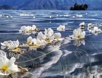 《水性杨花》观后感精选