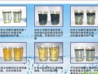 《污秽之神》经典观后感1000字