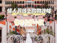 我的心上人在北方的小镇上