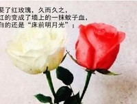 等待那个男人读后感精选