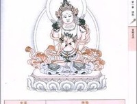 中国鸟类图鉴读后感100字