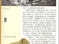印度：百万叛变的今天读后感精选